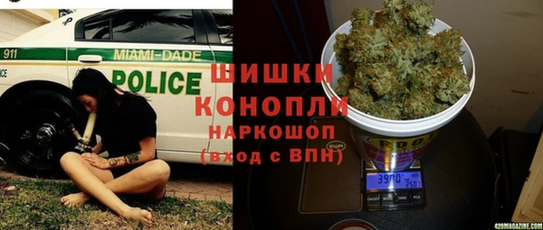PSILOCYBIN Остров