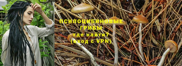 спайс Осташков