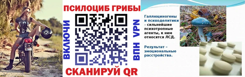 Псилоцибиновые грибы Psilocybine cubensis  Пущино 